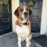 Entry image for Bonnie Ann