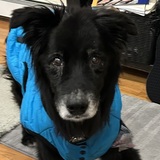 Entry image for Desmond