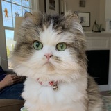 Entry image for Takis