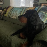 Entry image for Seumas