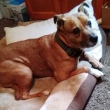 Entry image for Rusty 