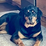 Entry image for June