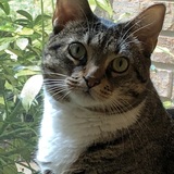 Entry image for Laverne