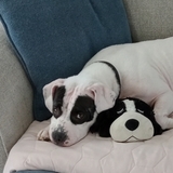 Entry image for Zora