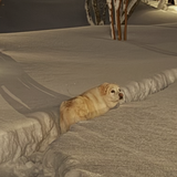 Entry image for Olivia