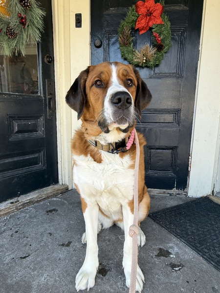 Entry image for Bonnie Ann. Clicking this image will show a larger photo