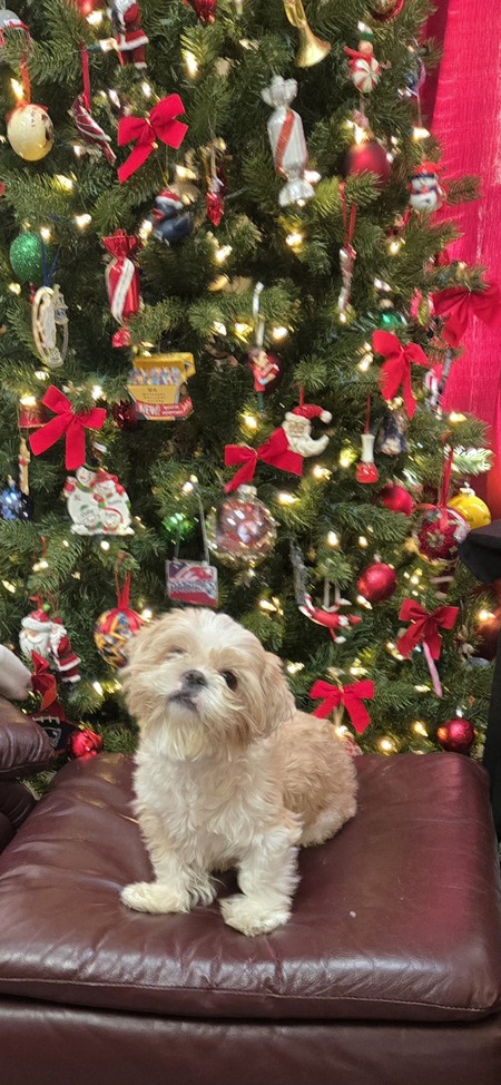 Entry image for Walter Gallagher Houlker. Clicking this image will show a larger photo