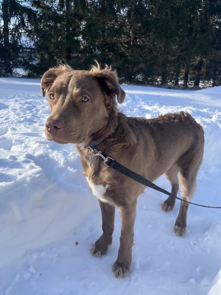 Entry image for Bruski. Clicking this image will show a larger photo