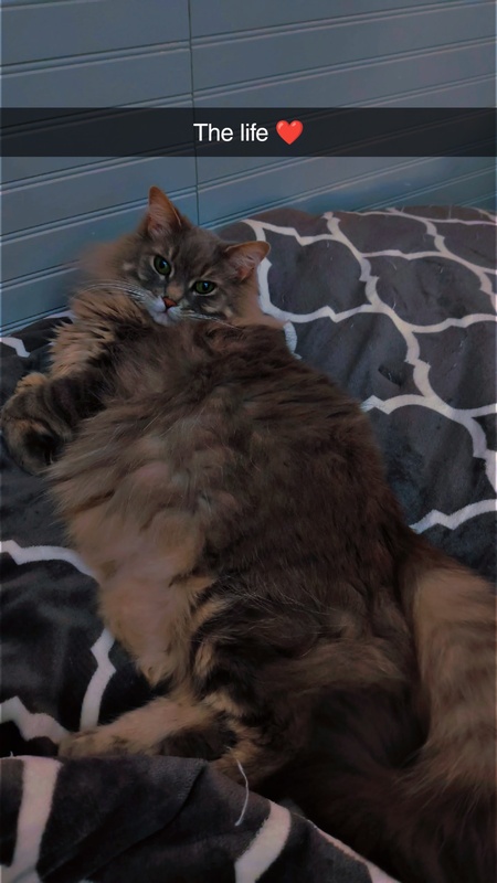 Entry image for Princess Jewels . Clicking this image will show a larger photo