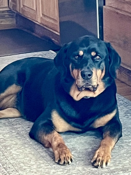 Entry image for June. Clicking this image will show a larger photo