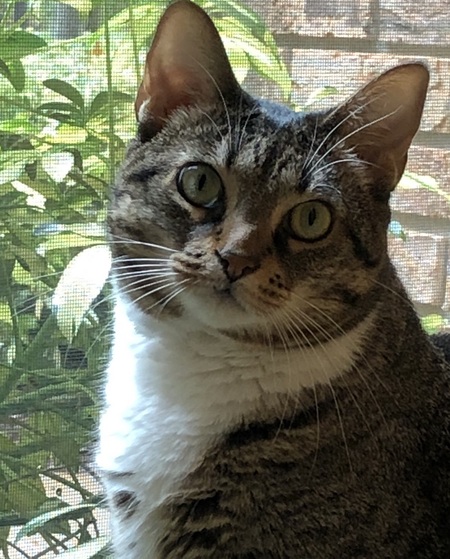 Entry image for Laverne. Clicking this image will show a larger photo