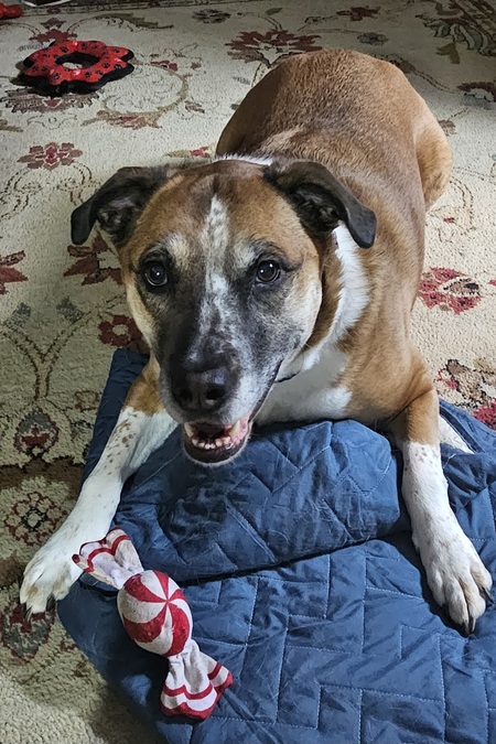 Entry image for Betsy Ross. Clicking this image will show a larger photo