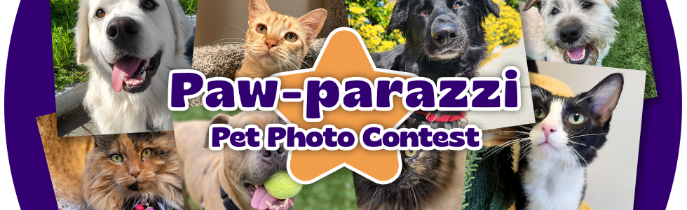 Banner for Joybound's 2026 Paw-parazzi Pet Photo Contest
