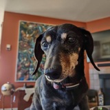 Entry image for Lulu