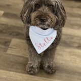 Entry image for Stella