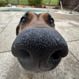 Entry image for Moxie