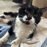 Entry image for SixToe