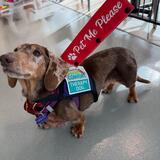 Entry image for Muddy Mudpie