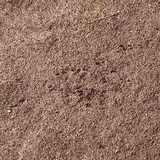 Entry image for Pollu