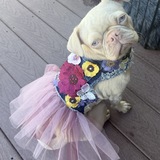 Entry image for Fiona