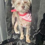 Entry image for Icyy