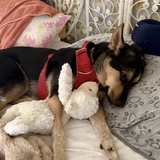 Entry image for Sami Stewart