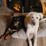 Entry image for Kaya & Grady