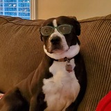 Entry image for Sasha