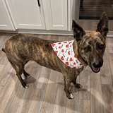 Entry image for London