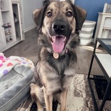 Entry image for Harley