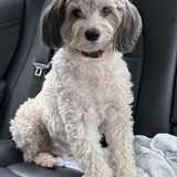 Entry image for Jack