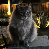 Entry image for B.K.