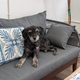 Entry image for Charlie