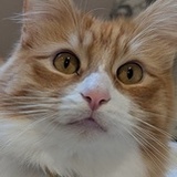 Entry image for Theodore 