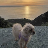 Entry image for Ruby