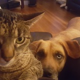 Entry image for Rosie and Lucy