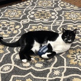 Entry image for Sheila