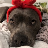 Entry image for TOPAZ! 💎 