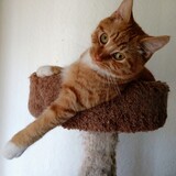 Entry image for Atlanta