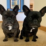 Entry image for Marchetti & Piper