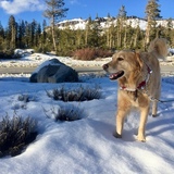 Entry image for Finny