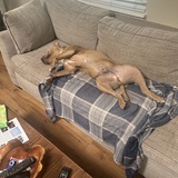 Entry image for Tanner