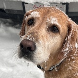 Entry image for Macy