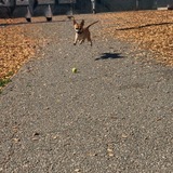 Entry image for Serene