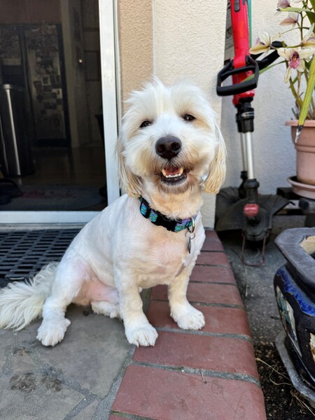 Entry image for Arty. Clicking this image will show a larger photo