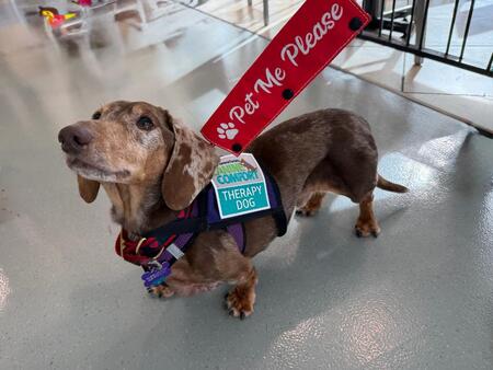 Entry image for Muddy Mudpie. Clicking this image will show a larger photo