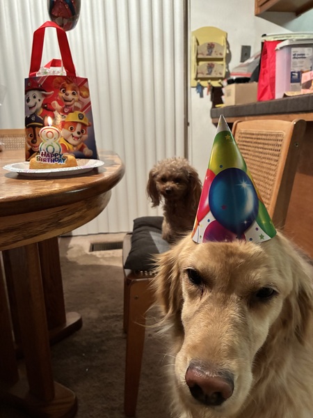 Entry image for Riley . Clicking this image will show a larger photo