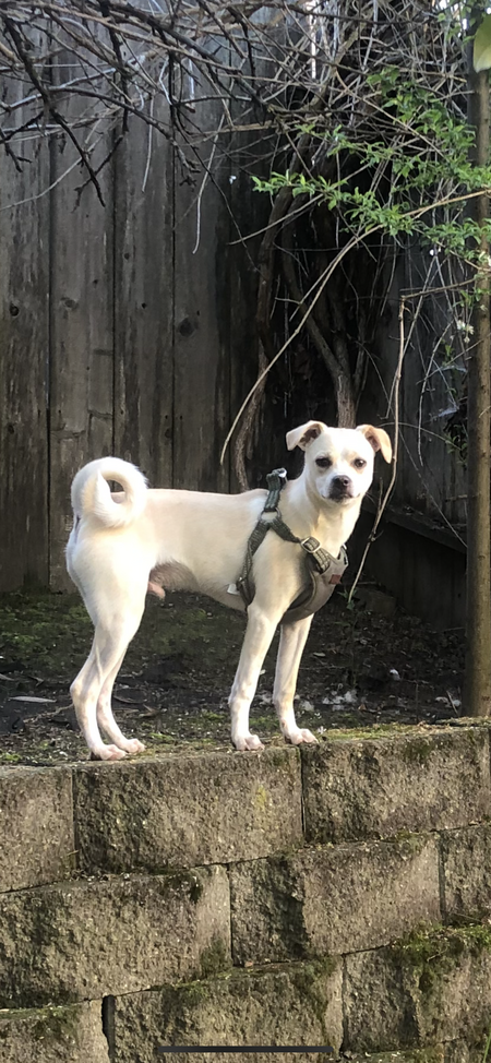 Entry image for Bodie. Clicking this image will show a larger photo