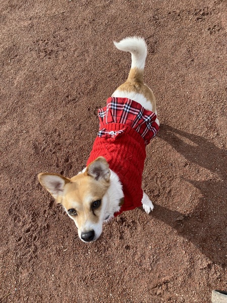 Entry image for Pollu. Clicking this image will show a larger photo