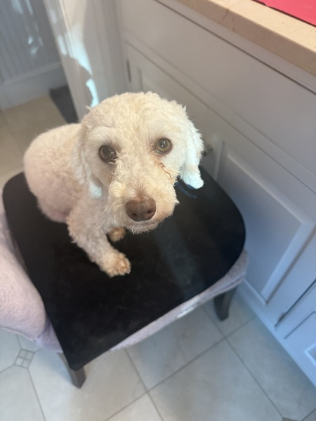 Entry image for Mel P. Johnson . Clicking this image will show a larger photo